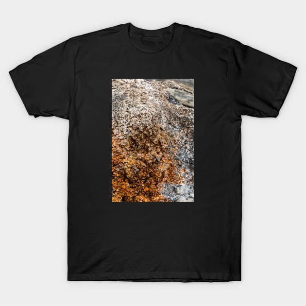 Rustic Seaside Erosion Texture - Alternative T-Shirt by textural